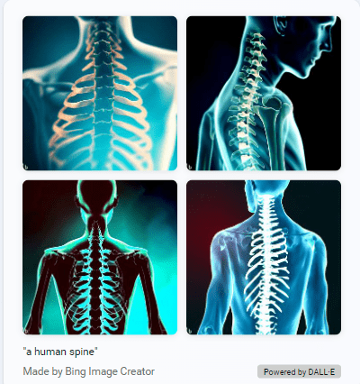 Human spines by Bing AI